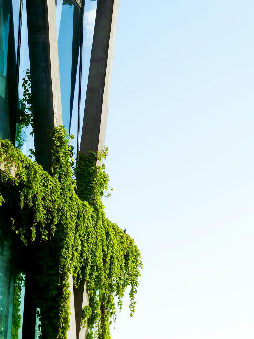 Harbour Tech Hub