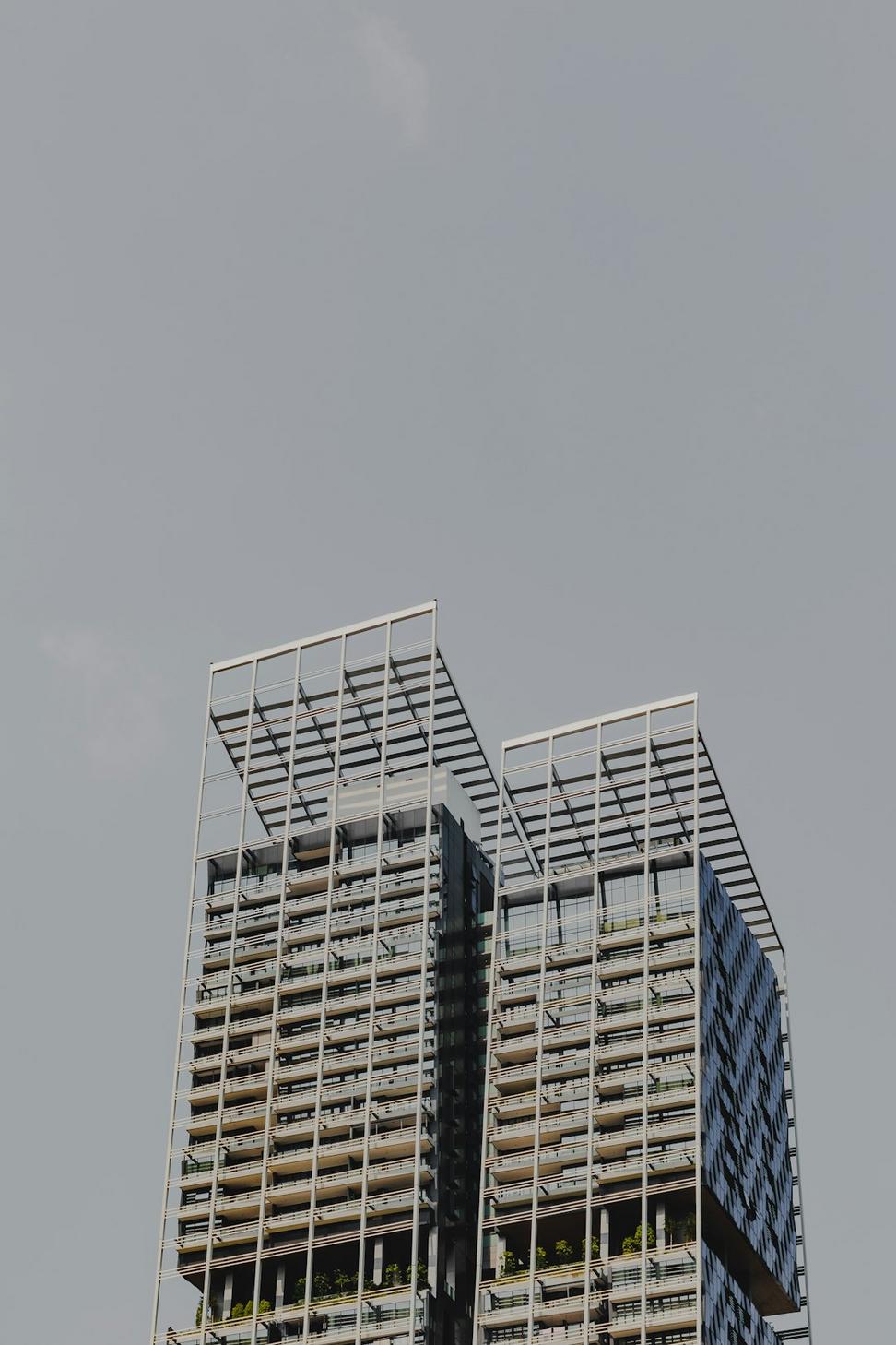 Net Zero
